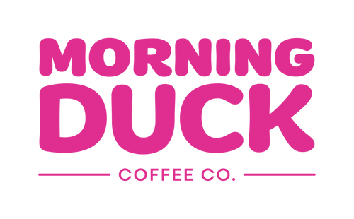 Morning Duck